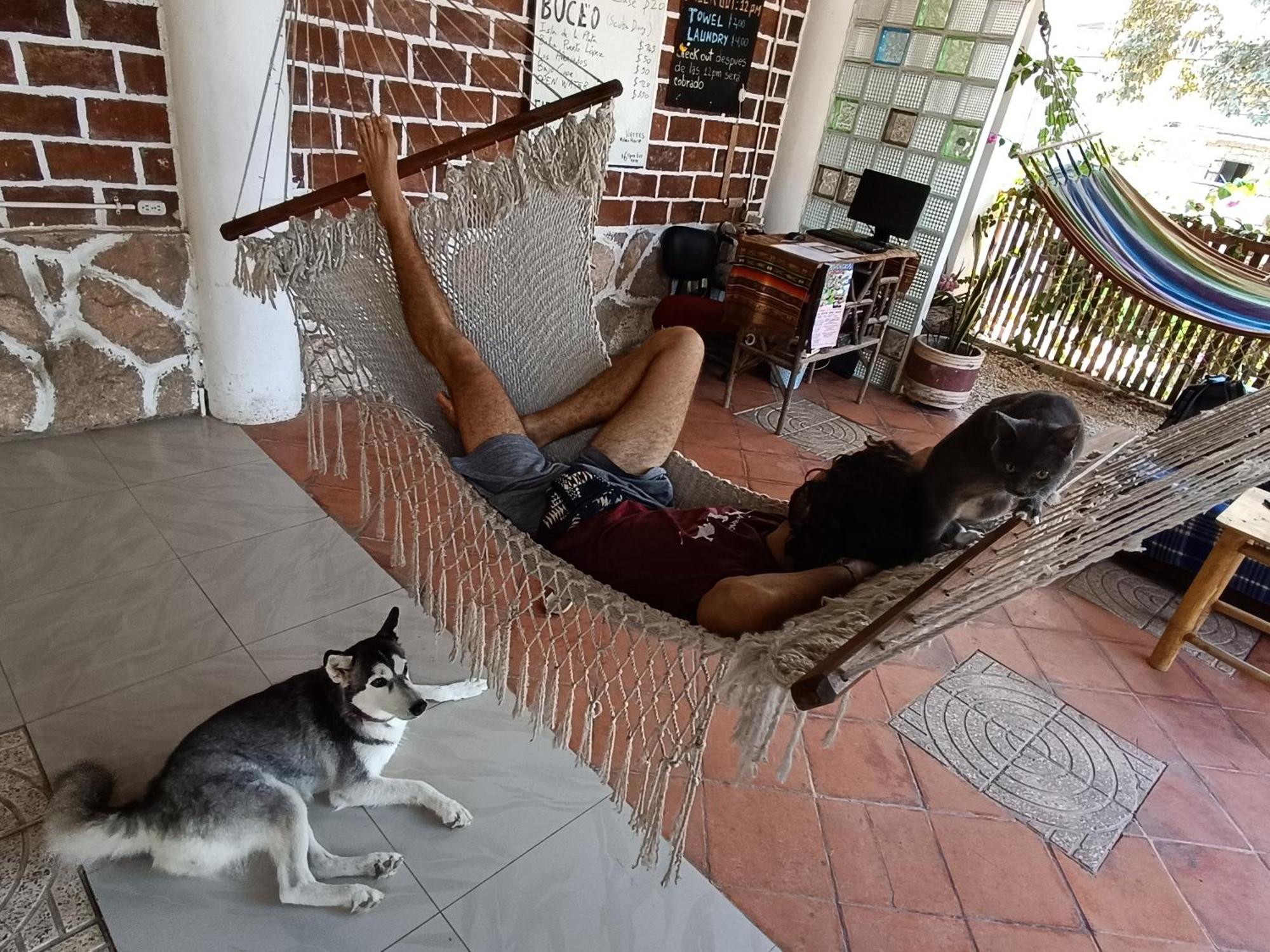 Munay Backpacker Hostel Montanita Bagian luar foto